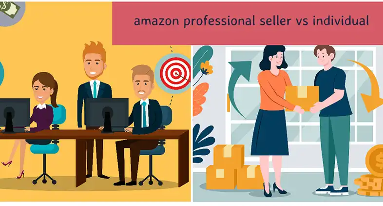 Amazon Professional Seller vs Individual 